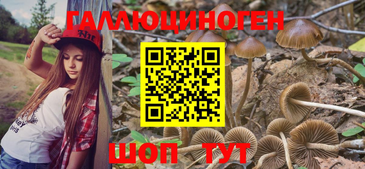 Галлюциногенные грибы прущие грибы Александров
